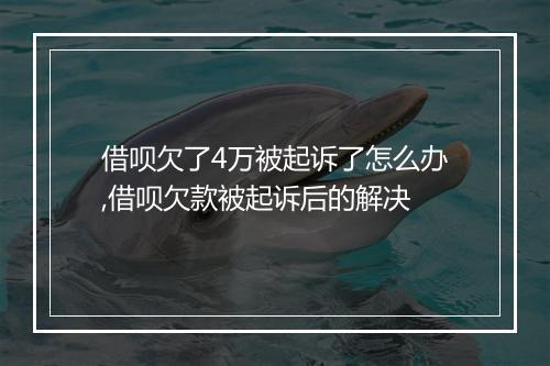 借呗欠了4万被起诉了怎么办,借呗欠款被起诉后的解决