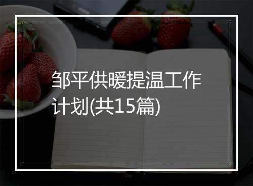 邹平供暖提温工作计划(共15篇)