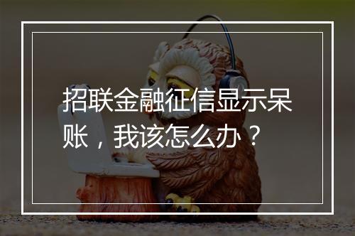 招联金融征信显示呆账,我该怎么办?