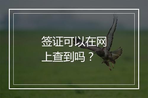 签证可以在网上查到吗?