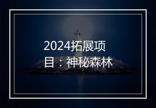 2024拓展项目:神秘森林