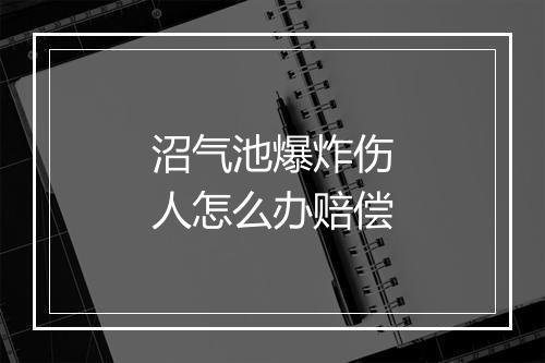 沼气池爆炸伤人怎么办赔偿