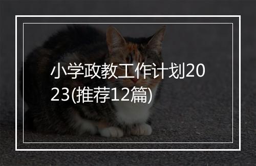 小学政教工作计划2023(推荐12篇)