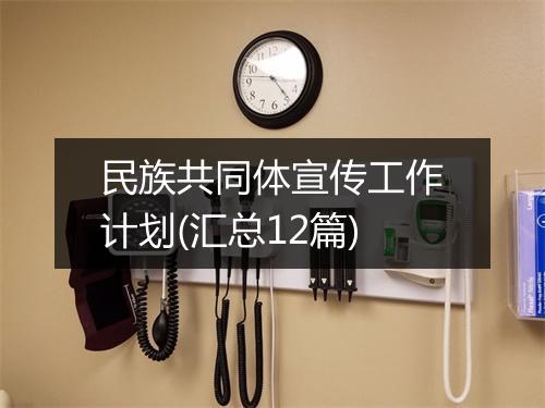 民族共同体宣传工作计划(汇总12篇)