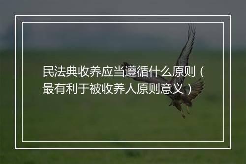 民法典收养应当遵循什么原则(最有利于被收养人原则意义)