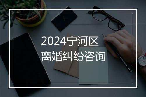 2024宁河区离婚纠纷咨询