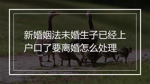 新婚姻法未婚生子已经上户口了要离婚怎么处理