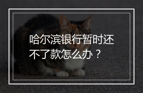 哈尔滨银行暂时还不了款怎么办?