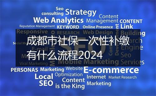 成都市社保一次性补缴有什么流程2024