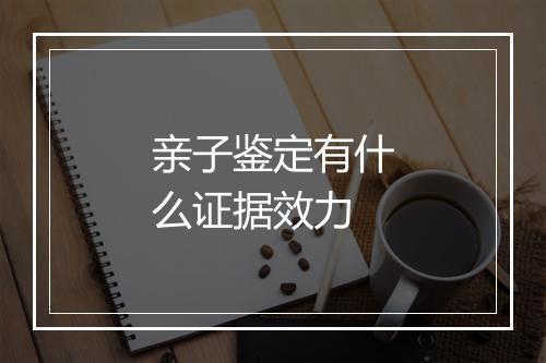 亲子鉴定有什么证据效力