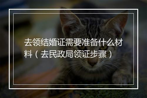 去领结婚证需要准备什么材料(去民政局领证步骤)