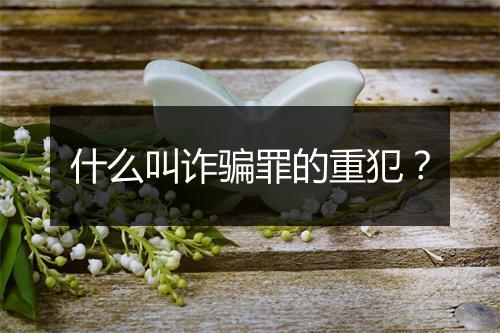 什么叫诈骗罪的重犯?