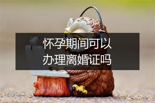 怀孕期间可以办理离婚证吗