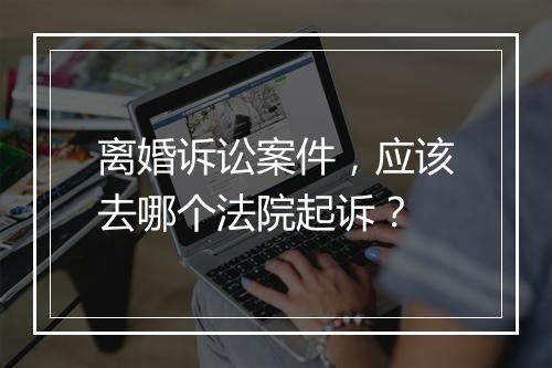 离婚诉讼案件,应该去哪个法院起诉?