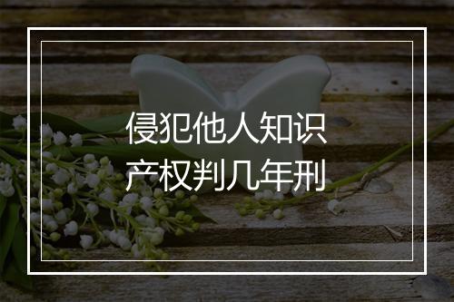侵犯他人知识产权判几年刑