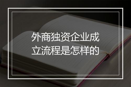 外商独资企业成立流程是怎样的