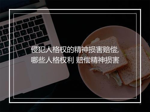 侵犯人格权的精神损害赔偿,哪些人格权利 赔偿精神损害