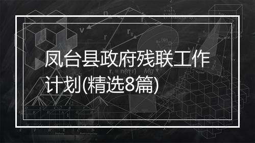 凤台县政府残联工作计划(精选8篇)