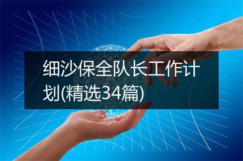 细沙保全队长工作计划(精选34篇)