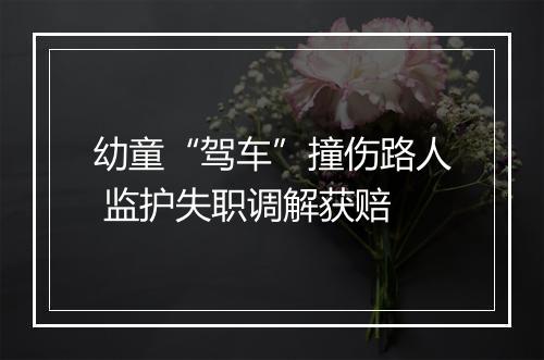 幼童“驾车”撞伤路人 监护失职调解获赔