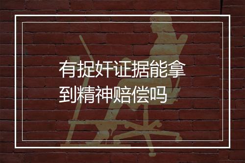 有捉奸证据能拿到精神赔偿吗