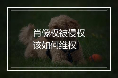 肖像权被侵权该如何维权