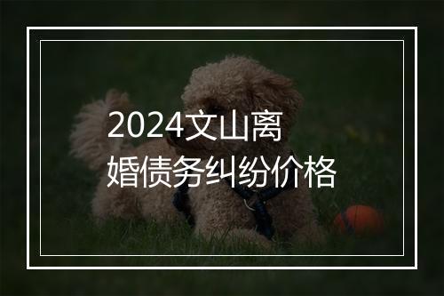 2024文山离婚债务纠纷价格