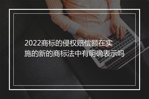 2022商标的侵权赔偿额在实施的新的商标法中有明确表示吗