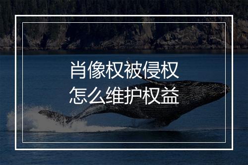 肖像权被侵权怎么维护权益