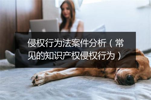 侵权行为法案件分析(常见的知识产权侵权行为)