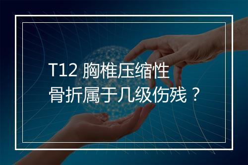 T12 胸椎压缩性骨折属于几级伤残?