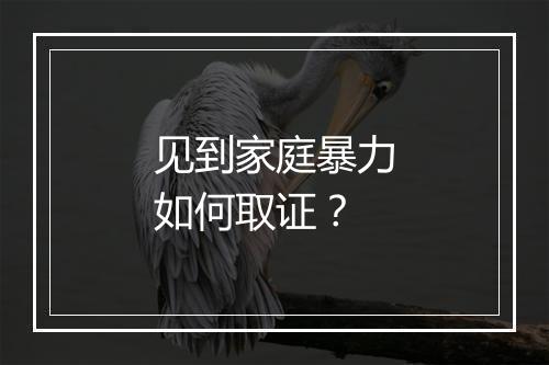 见到家庭暴力如何取证?