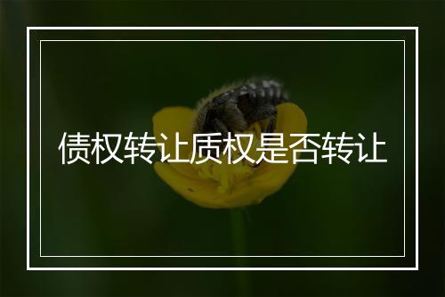 债权转让质权是否转让