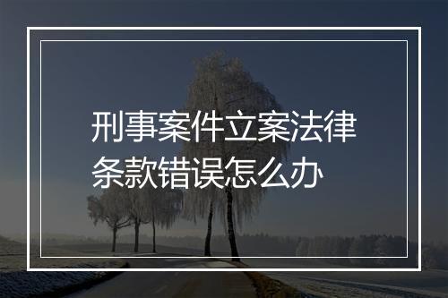 刑事案件立案法律条款错误怎么办