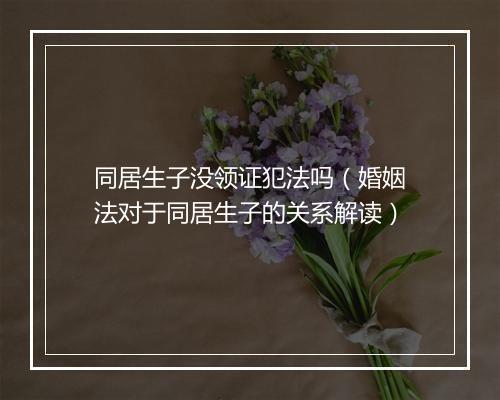 同居生子没领证犯法吗(婚姻法对于同居生子的关系解读)