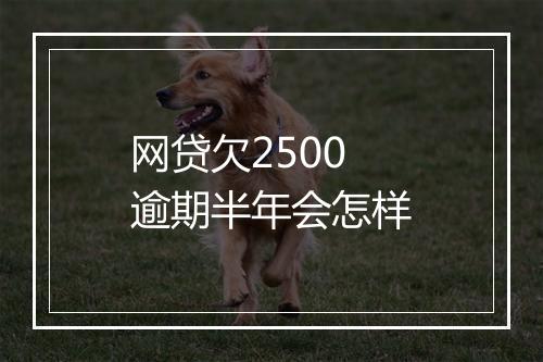 网贷欠2500逾期半年会怎样