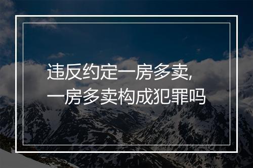 违反约定一房多卖,一房多卖构成犯罪吗