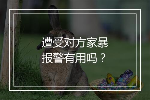 遭受对方家暴报警有用吗?