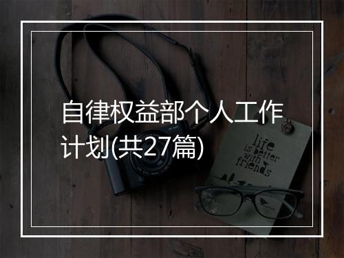 自律权益部个人工作计划(共27篇)