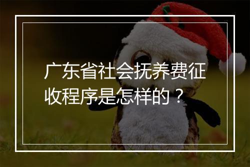 广东省社会抚养费征收程序是怎样的?