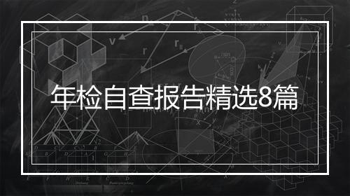 年检自查报告精选8篇