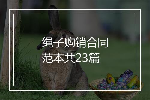 绳子购销合同范本共23篇