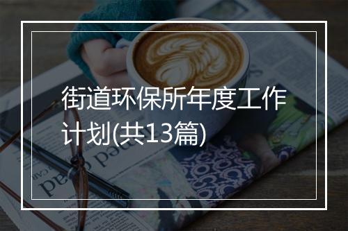 街道环保所年度工作计划(共13篇)