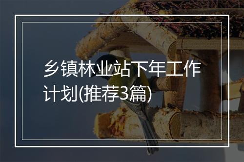 乡镇林业站下年工作计划(推荐3篇)