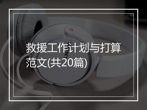 救援工作计划与打算范文(共20篇)