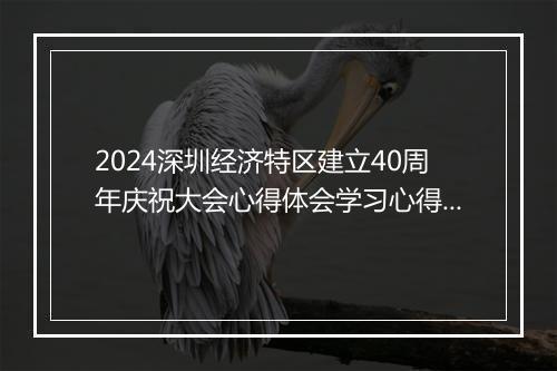 2024深圳经济特区建立40周年庆祝大会心得体会学习心得精品11篇