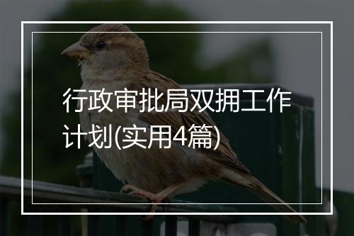 行政审批局双拥工作计划(实用4篇)