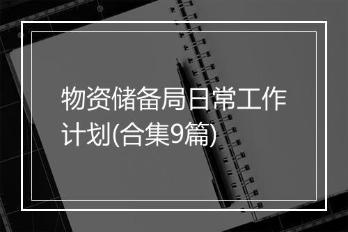 物资储备局日常工作计划(合集9篇)