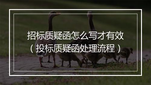 招标质疑函怎么写才有效(投标质疑函处理流程)