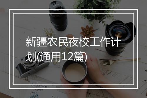 新疆农民夜校工作计划(通用12篇)